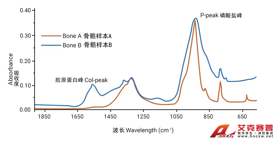 布魯克-3.png