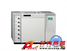 魯南瑞虹 SP-6890 氣相色譜儀